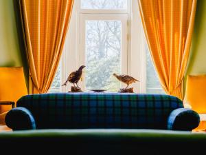 Άλλα ζώα σε αυτή η παραθεριστική κατοικία ή στη γύρω περιοχή