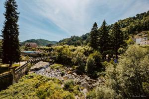 a view of a river with trees and buildings at Appartement face aux thermes de vals WIFI-Parking gratuit in Vals-les-Bains