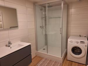 a bathroom with a shower and a washing machine at Chez Riri in Saints-Geosmes