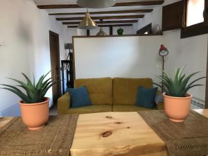 a living room with a couch and two potted plants at estudio judería in Sigüenza