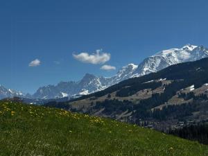 Příroda nedaleko prázdninového domu