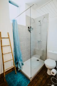 een badkamer met douche en toilet bij La bogue in Vals-les-Bains