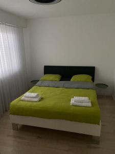 Postel nebo postele na pokoji v ubytování Cozy apartment near Basel Airport