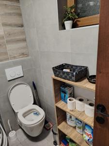 a bathroom with a toilet in a room at Stela Divcinova in Divčibare +15 photos