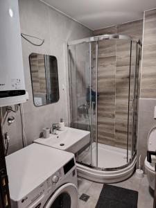 a bathroom with a shower and a washing machine at Stela Divcinova in Divčibare