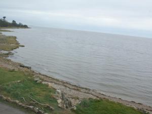 a view of a body of water with a beach at Shore Cottage in Silverdale +5 photos