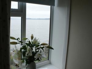 a vase with flowers sitting in front of a window at Shore Cottage in Silverdale