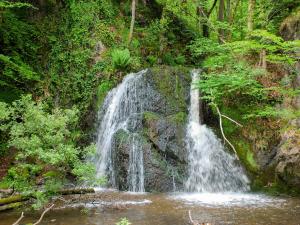 een waterval midden in een bos bij Thistle Lodge - Uk7051 in Glenurguhart