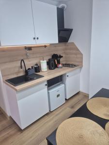 Η κουζίνα ή μικρή κουζίνα στο Mieszkanie Słoneczny Sandomierz 2
