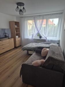 Χώρος καθιστικού στο Mieszkanie Słoneczny Sandomierz 2