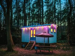 a blue tiny house with an umbrella in the woods at Goosewing Hut-Qu7072 in Melton Constable