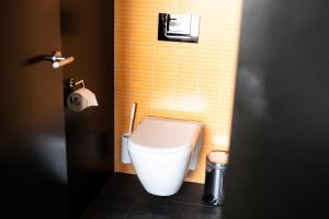 ブオクスにあるCharming studio by Lake Lucerneのバスルーム(白いトイレ付)