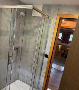 a shower in a bathroom with a glass door at Ferienwohnung Lahnerhof in Arriach