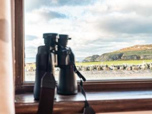 ein Fenster mit zwei Wasserflaschen und Blick auf Schafe in der Unterkunft Stack View Cottage in Holyhead