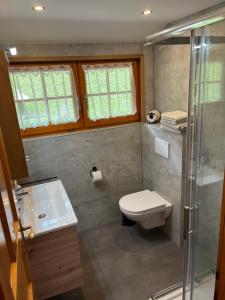a bathroom with a toilet and a sink and a shower at Ferienwohnung Lahnerhof in Arriach +29 photos