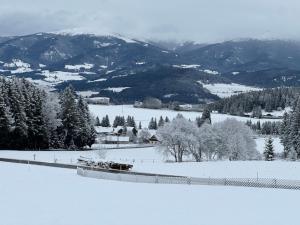 un campo cubierto de nieve con árboles y montañas al fondo en Erholung im Naturpark, en Zeutschach