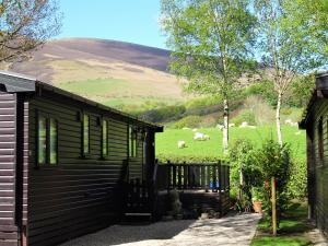 a cabin with a view of a field with sheep at Bewick Lodge in Keswick +9 photos