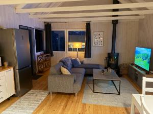 a living room with a couch and a tv at Cheerful forest cabin Fireplace and Hot tub in Akranes