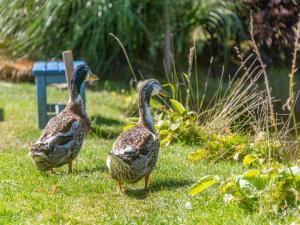 Άλλα ζώα σε αυτή η παραθεριστική κατοικία ή στη γύρω περιοχή +2 φωτογραφίες