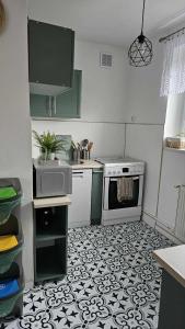 Η κουζίνα ή μικρή κουζίνα στο Apartament RYŚ Polanica Zdrój +7 φωτογραφίες