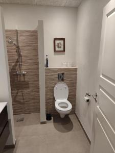 Un baño con inodoro y ducha. en House on Vellingtoft in Kværs - apartments, en Gråsten