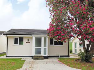 Saint CleerにあるSeatonのピンクの花の木のある小さな白い家