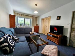 a living room with a blue couch and a tv at Lipoffka in Lipova Lazne