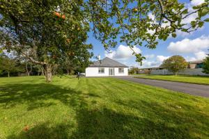 a white house on a lawn with an orange tree at Ballyneill Farmhouse in Carrick-on-Suir