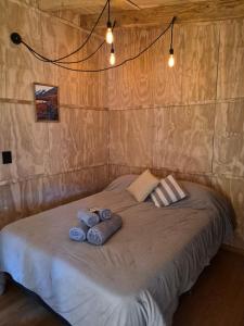 a bed in a room with two pillows on it at KUNTUR 2 Cabañas in El Chalten
