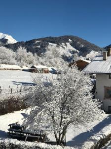un arbre recouvert de neige devant une maison dans l'établissement Lauton Dolomiti Relax Apartment - mit Jacuzzi-Badewanne, à Ziano di Fiemme