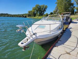 una barca bianca attraccata a un molo sull'acqua di Crassula Lux a Surčin