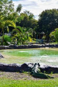 Fotografie z fotogalerie ubytování Hacienda Agua Bendita v destinaci Acacías