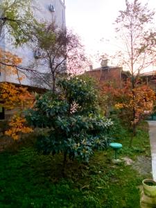 Foto dalla galleria di Urban Calm a Kutaisi