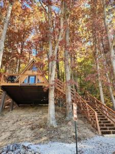 una casa sull'albero nel bosco con una scala di Rustic Tree A-Frame with Original Design by Tappan Lake in Ohio 