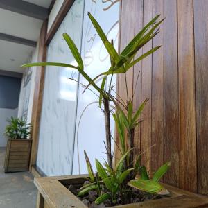 Zahrada ubytování Aconchegante com Ótimo preço, Vem conferir!