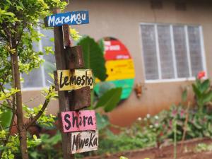 Πιστοποιητικό, βραβείο, πινακίδα ή έγγραφο που προβάλλεται στο freedom house