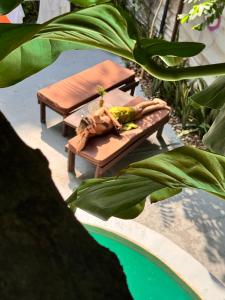 a woman laying on a bench next to a pool at Nanabi in Brisas de Zicatela