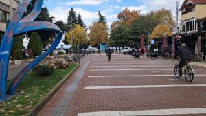 eine Person, die mit dem Fahrrad eine Backsteinstraße hinunterfährt in der Unterkunft Leonora Lake View Apartment in Pogradec