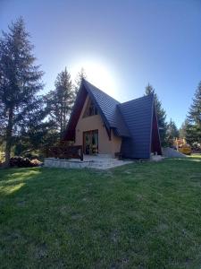 ein Haus mit einem schwarzen Dach auf einem grünen Feld in der Unterkunft Mountain House Tadić 3 in Bajina Bašta