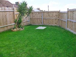 a backyard with a wooden fence and a palm tree at Breedsmoor Cottage in Ore +4 photos