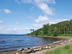 eine felsige Küste mit Bäumen und einem Wasserkörper in der Unterkunft Shore Cottage - S4600 in Tarbert + 1 Foto