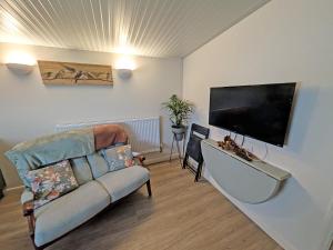 DishforthにあるRaygill Shepherds Hutのソファと薄型テレビのあるリビングルーム