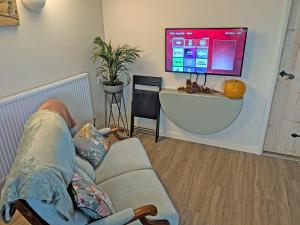 DishforthにあるRaygill Shepherds Hutのテレビの前に座る男