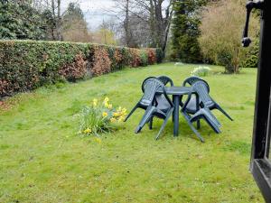 two chairs sitting next to a table in the grass at Violet Cottage in Catfield