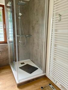 a shower with a glass enclosure in a bathroom at FeWo Linneweber in Willingen +21 photos