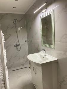 um banheiro branco com pia e chuveiro em Vila Flora Vlašić em Šišava mais 34 fotografias