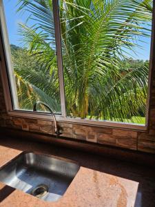 eine Küchenspüle vor einem Fenster mit einer Palme in der Unterkunft Casa de temporada - PISCINA, FOGÃO A LENHA E CHURRASQUEIRA in Lindóia