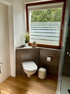 a bathroom with a toilet and a window at FeWo Linneweber in Willingen