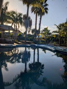 a swimming pool with palm trees in the background at Garden Oasis in the heart of Pāpāmoa in Tauranga