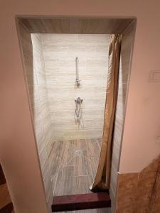 a walk in shower in a room with a curtain at Elegant in Zrenjanin